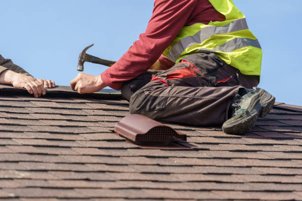Best Roof Gutter Cleaning  in Wenonah, NJ